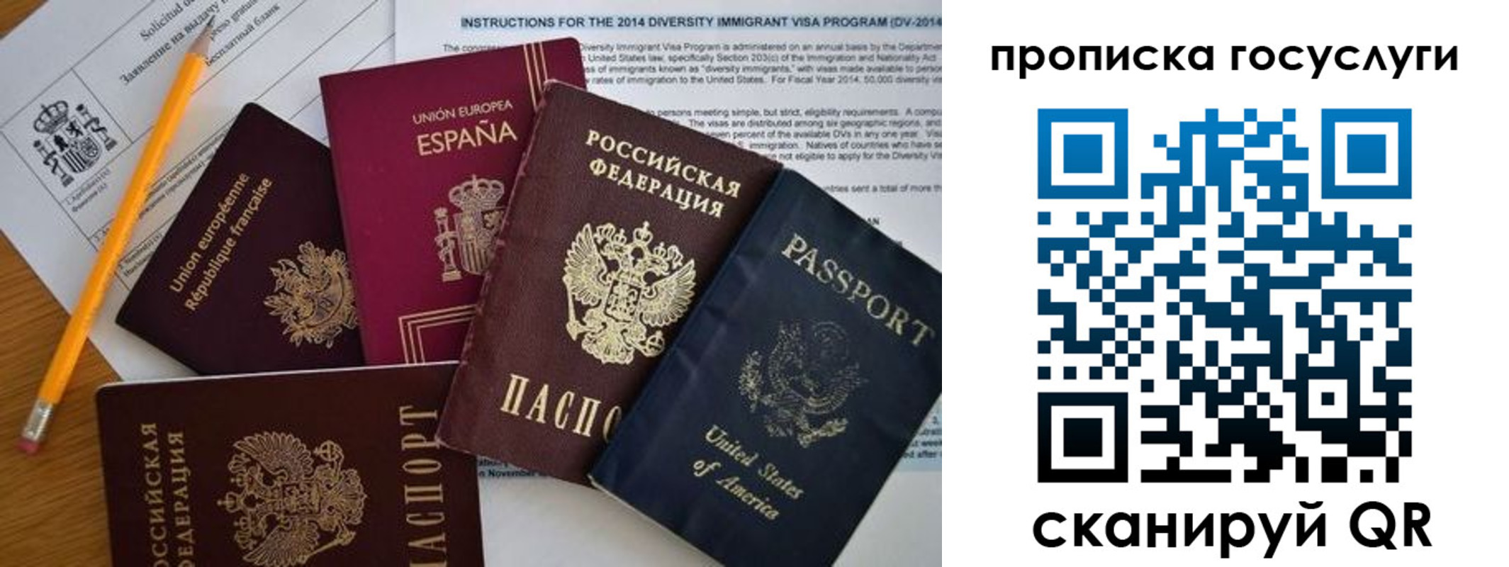 прописка гарантия в Волосово