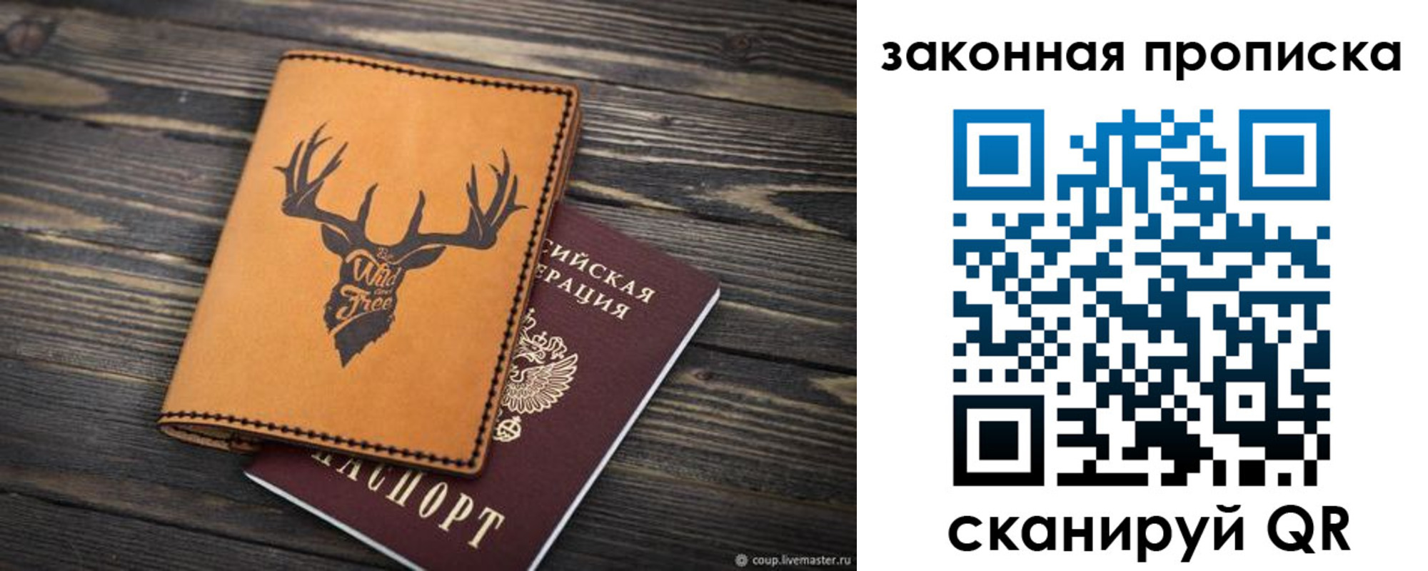 прописка для школы в Волосово